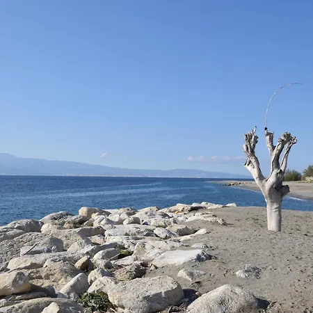 Cozy In With Wifi * Palmi