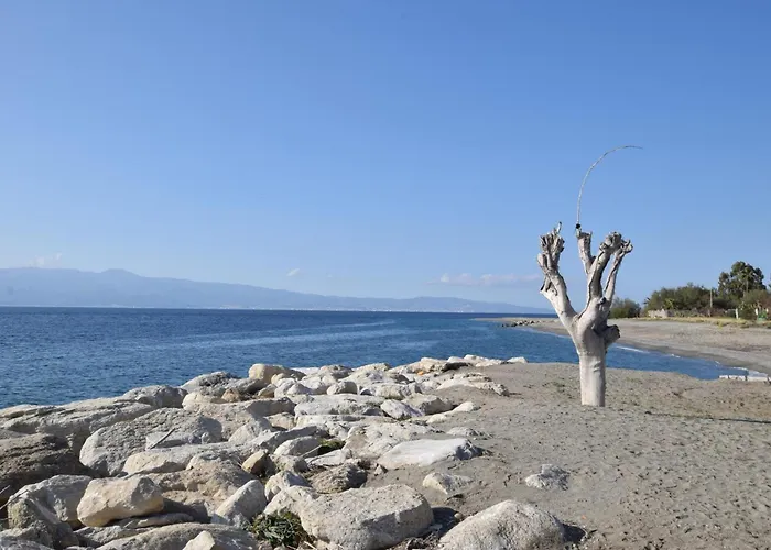 Cozy In With Wifi * Palmi